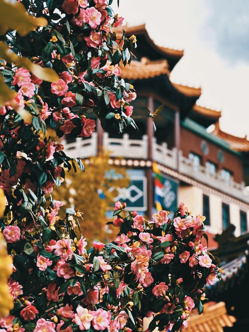 hm-hotel-ling-bao-out_19.jpg