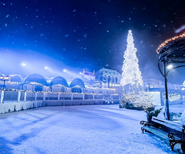 cf-berlin-winter-2023_06 (1).jpg
